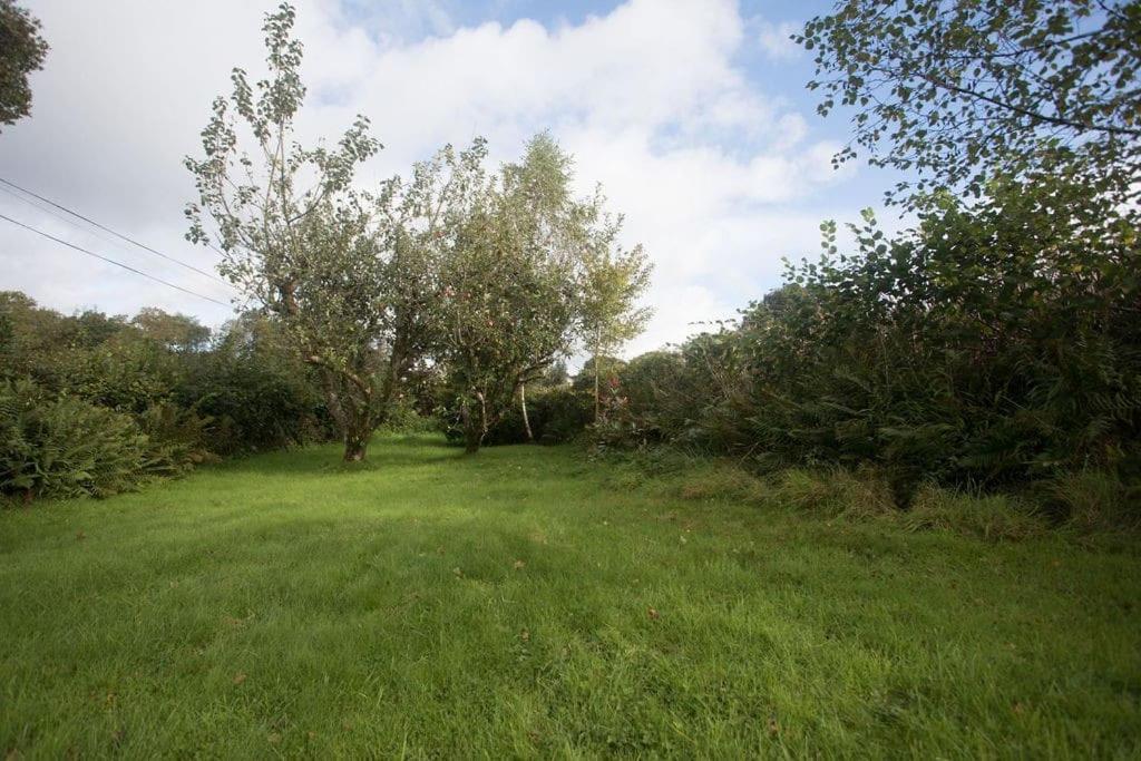 Perfect Retreat Near The Brecon Beacons Llanwrda